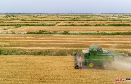 新疆：天山南北農牧民的小康生活