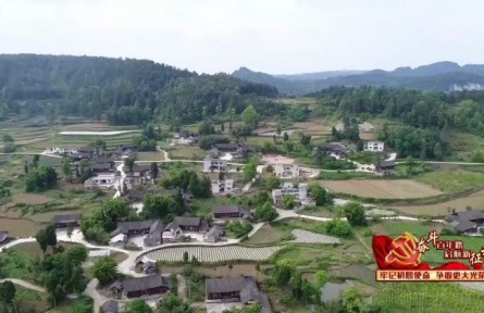 貴州貴陽：上半年農(nóng)業(yè)農(nóng)村經(jīng)濟(jì)實(shí)現(xiàn)高速增長(zhǎng)