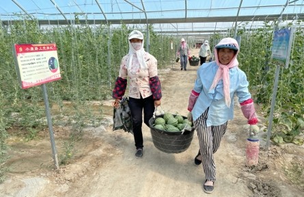 高效節(jié)水 豐收戈壁——甘肅高效節(jié)水推動(dòng)區(qū)域經(jīng)濟(jì)社會(huì)高質(zhì)量發(fā)展