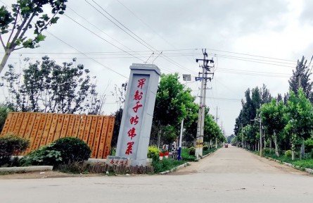 山東省聊城市冠縣：加快補齊“三農”領域短板