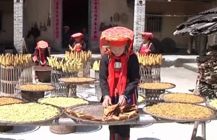 廣西桂平：竹筍上市供不應求 特色產(chǎn)業(yè)助農(nóng)增收