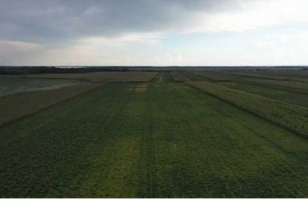 黑龍江黑河愛輝區(qū)：原糧“深加工” “身價”漲起來