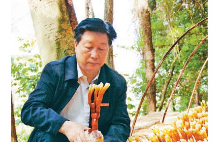 《山海情》蘑菇專家原型、“最美教師”林占熺：心心念念的，永遠是菌草