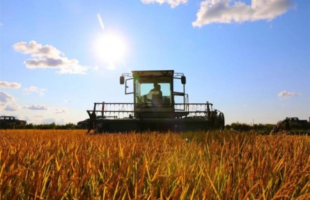 北大荒集團各農（牧）場做好“四個到位”高質量備戰(zhàn)秋收