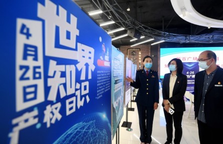 知識(shí)產(chǎn)權(quán)強(qiáng)國 intellectual property rights (IPR) power