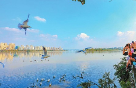四川：“鳥口普查”怎么查？