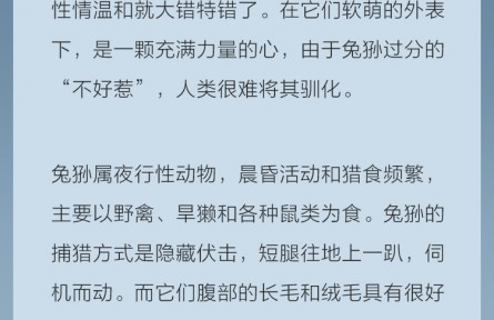 點(diǎn)祁連山國(guó)家公園的貓科精靈