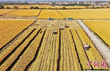 中國式現(xiàn)代化“新途”何解？