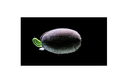 生物多樣性專(zhuān)題視頻：人類(lèi)與大自然