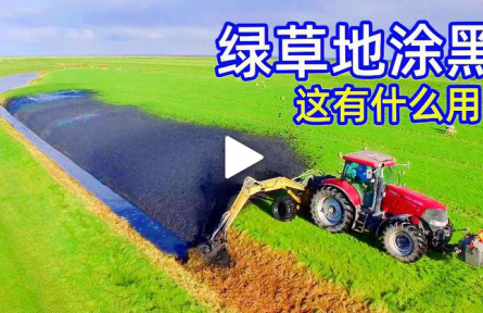 不可思議的挖泥機(jī)，為什么荷蘭人要把草地“涂黑”