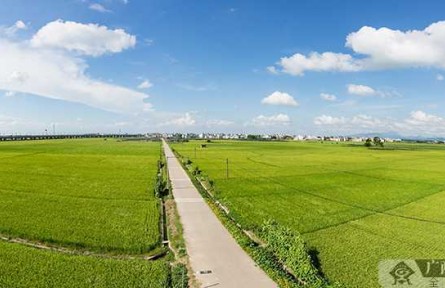 廣西：全面推行耕地保護(hù)田長(zhǎng)制