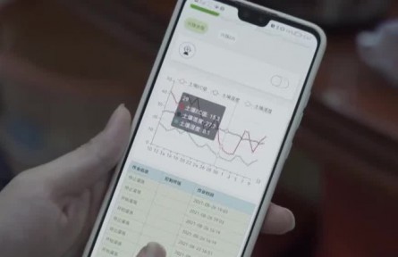 豐收中國(guó)·廣東梅州：大數(shù)據(jù)賦能柚子產(chǎn)業(yè)