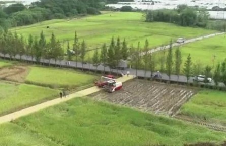豐收中國(guó)·浙江浦江：稻作全程機(jī)械化 農(nóng)業(yè)生產(chǎn)越來(lái)越高效