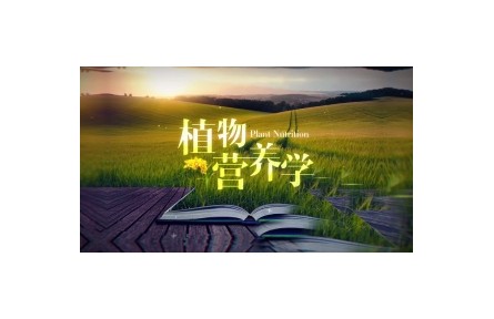 植物營養(yǎng)學與農業(yè)生產（系列講座視頻）