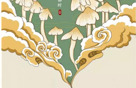 食用菌“拍照識菌全”應(yīng)用軟件“菌窩子”上線運(yùn)行