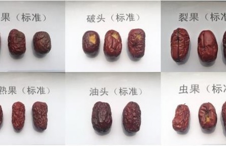 93、成果名稱:紅棗質(zhì)量檢驗分級與標(biāo)準(zhǔn)化技術(shù)服務(wù)