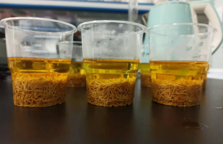 ?53、成果名稱(chēng)：牡丹花蕊汽爆速溶茶加工技術(shù)