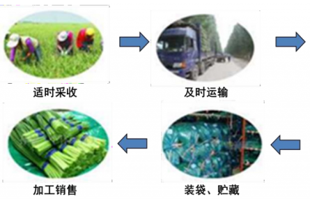13、成果名稱：大宗蔬菜簡(jiǎn)約物流保鮮技術(shù)