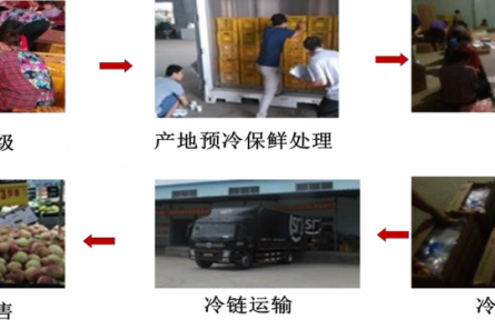4、成果名稱：桃采后冷鏈流通保鮮技術