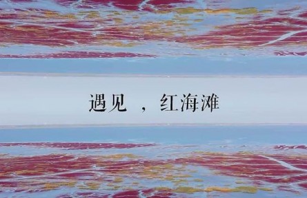 世界最大的紅海灘，在中國