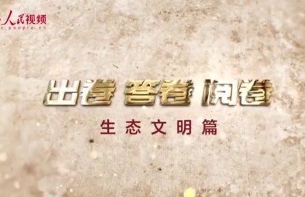 “為什么說綠水青山就是金山銀山？”