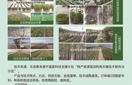 功能性植物種苗工廠化組培快繁、生態(tài)立體種植及高值產(chǎn)品開發(fā)
