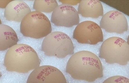 江蘇淮安盱眙縣鮑集鎮(zhèn)鄒黃村：打碼的雞蛋，新鮮看得見！?