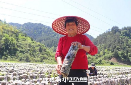 貴州銅仁：發(fā)展生態(tài)循環(huán)農(nóng)業(yè) 促進增產(chǎn)增收