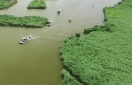 保護與發(fā)展并重 走好吉林生態(tài)發(fā)展綠色路