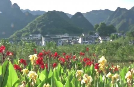 貴州：建設(shè)宜居宜業(yè)美麗鄉(xiāng)村 鋪展鄉(xiāng)村振興多彩畫(huà)卷