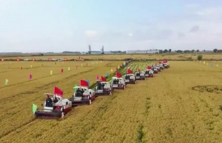 【奮斗百年路 啟航新征程·小康夢圓】補齊“三農”短板 提升全面小康成色