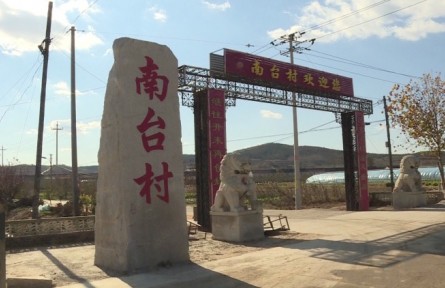 山東省煙臺(tái)市牟平區(qū)南臺(tái)村：特色種植 搭上致富“快車”