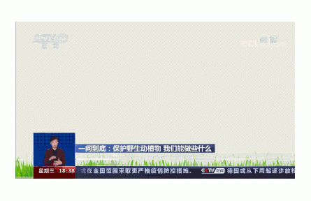 熊貓大事件：五個(gè)數(shù)！看遍祖國(guó)的綠水青山