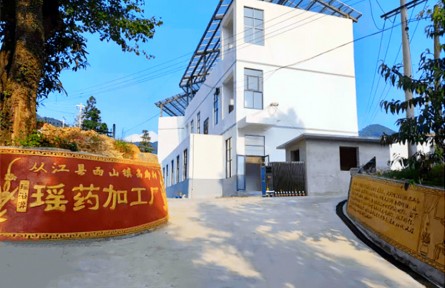 貴州從江趙金錢(qián)：帶領(lǐng)群眾“泡”出好日子