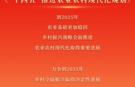 推進十四五農業(yè)農村現代化建設目標公布