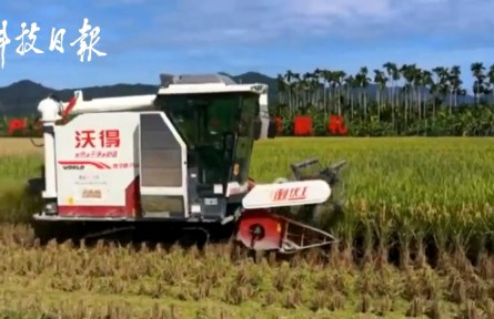 超額完成袁隆平3000斤目標任務！海南雙季稻畝產(chǎn)創(chuàng)紀錄