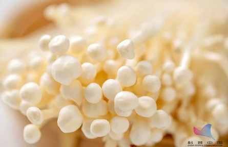 平時(shí)吃的金針菇，其實(shí)多是銀針菇？?jī)烧哂泻尾煌?></a></td>
<td align=
