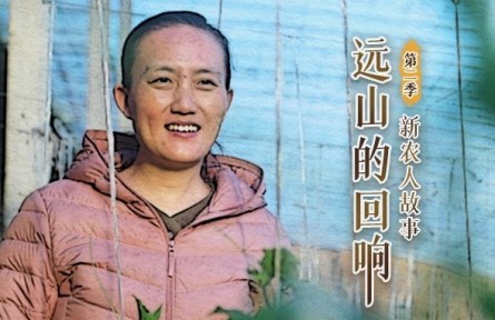 清華女博士后回村務(wù)農(nóng)：你想要的，土地都能給你