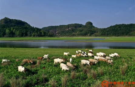 福建泰寧南會(huì)村：發(fā)揮生態(tài)優(yōu)勢(shì) 助力鄉(xiāng)村振興