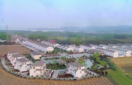 美麗鄉(xiāng)村，振興有我 | 安徽鳳陽：記四位農(nóng)村青年在鄉(xiāng)村廣闊舞臺上奮斗青春