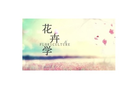 《花卉學》系列講座視頻