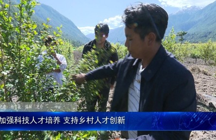 西藏林芝：加強(qiáng)科技人才培養(yǎng) 支持鄉(xiāng)村人才創(chuàng)新