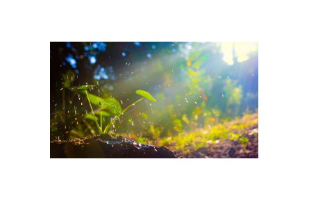 《植物生理學》講座視頻系列