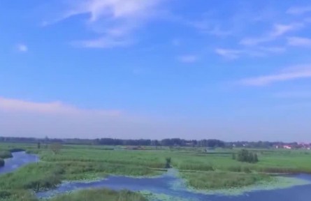 雄安新區(qū)白洋淀步入全國(guó)良好湖泊行列