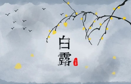 白露，繁華季節(jié)的謝幕