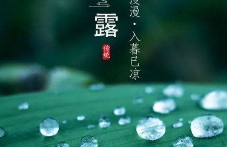 寒露，露似真珠月似弓