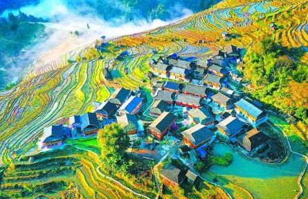 呵護(hù)好“地球之腎”！濕地保護(hù)法將正式實施 我國生態(tài)狀況持續(xù)改善