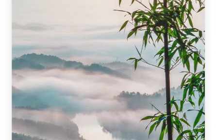 名人名言 | 孔子：其身正，不令而行；其身不正，雖令不從