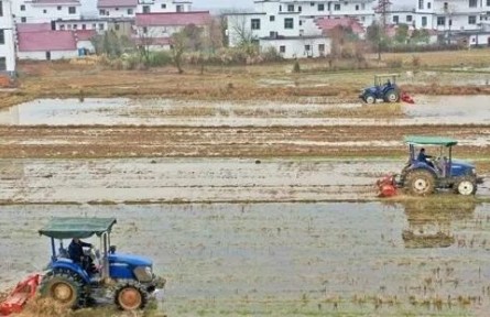 2022年江西省早稻意向播種面積達(dá)1830萬畝