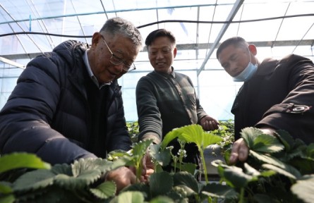 “全國脫貧攻堅楷?！壁w亞夫：帶民同致富，把成績寫在大地上